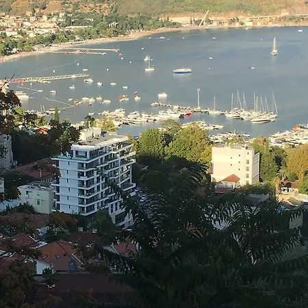 Djuric * בודווה